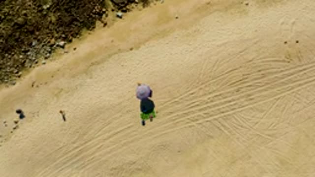 CHILENO BEACH LOS CABOS BCS MEXICO-2022: Person with Purple Umbrella Walking on Sandy Shore