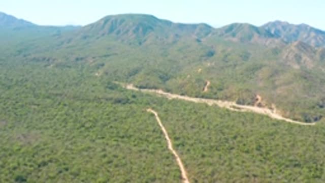 EL SALADO VIEJO LOS CABOS BCS MEXICO-2022: Dirt Road Winding Through Forested Mountains