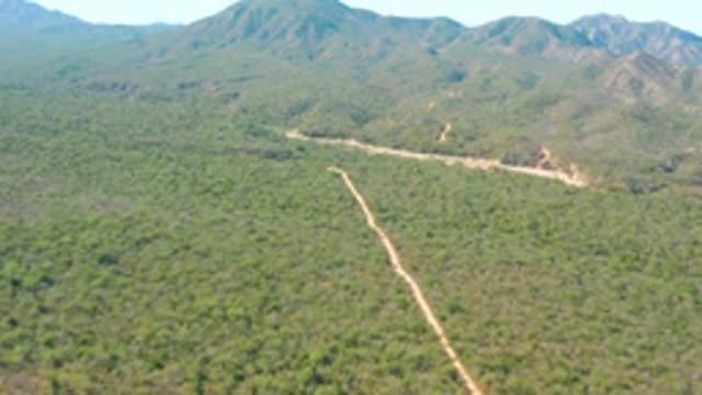 EL SALADO VIEJO LOS CABOS BCS MEXICO-2022: Vehicle Moving on Forest Dirt Road