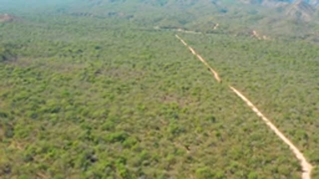 EL SALADO VIEJO LOS CABOS BCS MEXICO-2022: Vehicle Moving on Dirt Road Through Forested Area