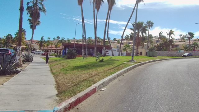 EAST CAPE LOS CABOS BCS MEXICO-2022: Palm Tree Lined Residential Street with Parked Cars