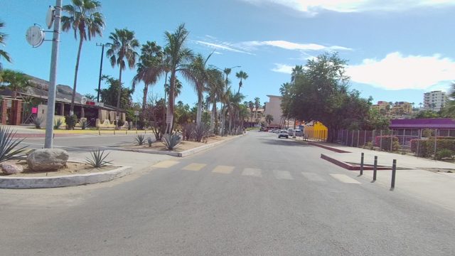 EAST CAPE LOS CABOS BCS MEXICO-2022: Palm Tree Lined Urban Street Drive
