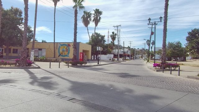 EAST CAPE LOS CABOS BCS MEXICO-2022: Palm Tree Lined Urban Street in Motion
