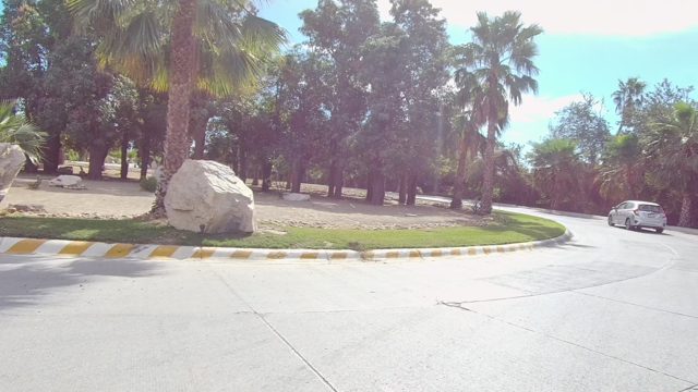 EAST CAPE LOS CABOS BCS MEXICO-2022: Car Driving on Palm Tree-lined Curved Road