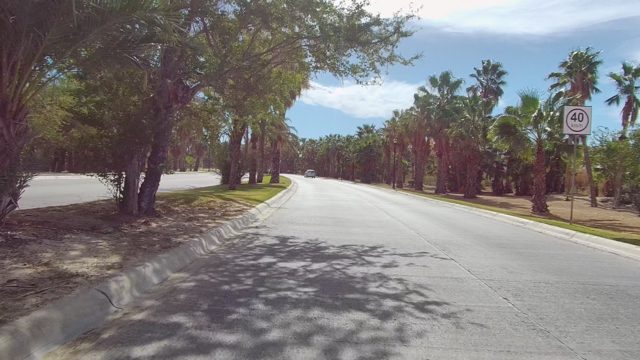 EAST CAPE LOS CABOS BCS MEXICO-2022: Palm Tree Lined Road From Moving Vehicle