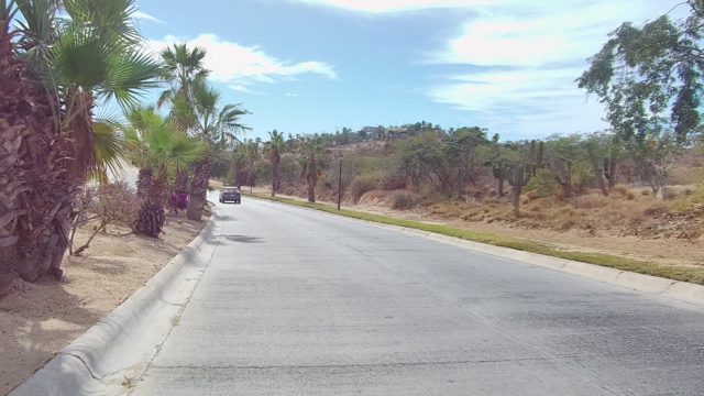 EAST CAPE LOS CABOS BCS MEXICO-2022: Palm Tree Lined Road with Curving Path