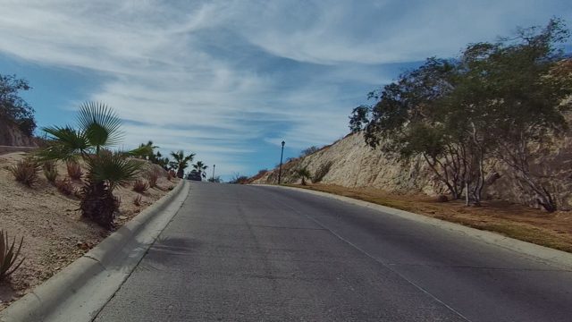 EAST CAPE LOS CABOS BCS MEXICO-2022: Palm Tree-lined Road Through Hilly Landscape