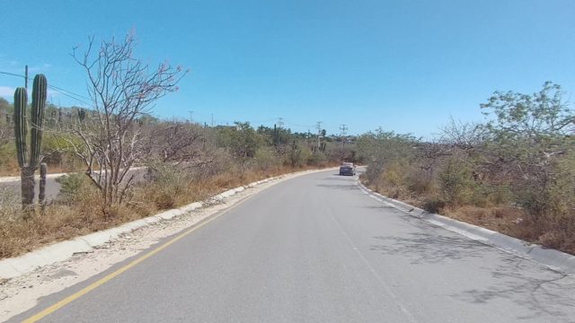 EAST CAPE LOS CABOS BCS MEXICO-2022: Paved Road Through Arid Desert with Cacti and Sparse Vegetation