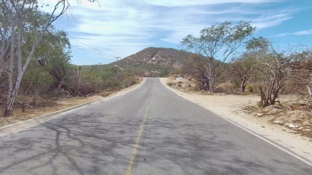 EAST CAPE LOS CABOS BCS MEXICO-2022: Paved Road Through Arid Landscape with Cacti and Distant Hill