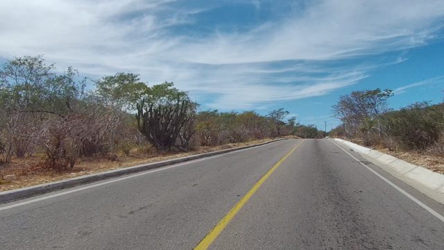 EAST CAPE LOS CABOS BCS MEXICO-2022: Road Through Arid Vegetation with Distant Vehicle
