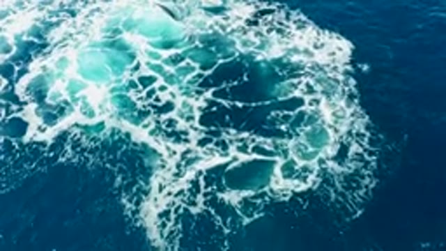 BUZZARDS EAST CAPE LOS CABOS BCS MEXICO-2022: Whale's Tail Diving Into Ocean Waters