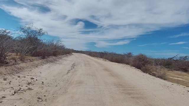 EAST CAPE LOS CABOS BCS MEXICO-2022: Dirt Road Through Dry, Sparse Bushland