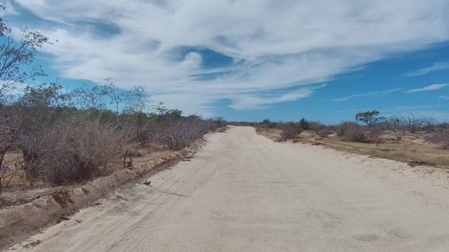 EAST CAPE LOS CABOS BCS MEXICO-2022: Dirt Road Journey Through Dry Bushland