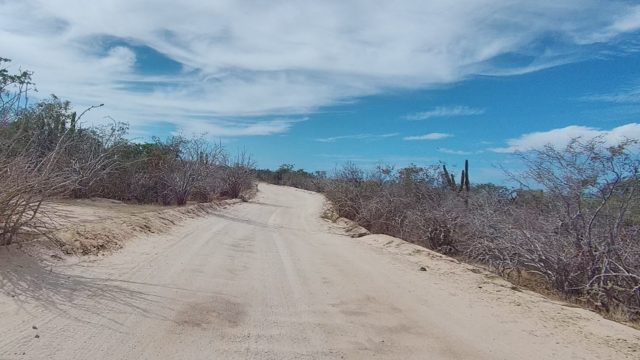 EAST CAPE LOS CABOS BCS MEXICO-2022: Dirt Road Winding Through Arid Bushland