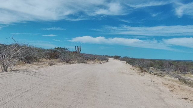 EAST CAPE LOS CABOS BCS MEXICO-2022: Dirt Road Journey Through Arid Desert Landscape
