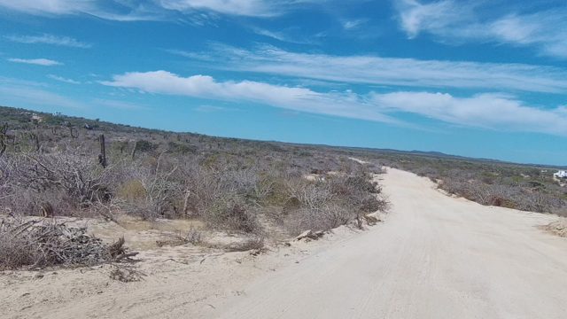 EAST CAPE LOS CABOS BCS MEXICO-2022: Dirt Road Journey Through Arid Scrubland