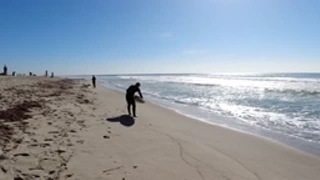 TRESTLES BEACH CALIFORNIA-2019: Person With White Surfboard On Sand On A Bright Day
