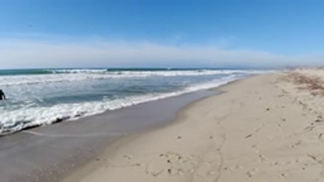TRESTLES BEACH CALIFORNIA-2019: A Bather Strolls a Deserted Beach With Calm Waves