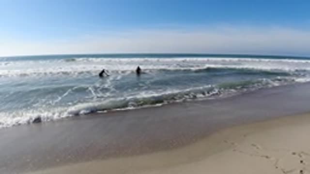 TRESTLES BEACH CALIFORNIA-2019: Two Eager Water Lovers Prepare For An Adventure
