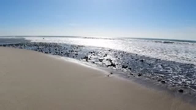 TRESTLES BEACH CALIFORNIA-2019: Landscape Beach With Scattered Rocks On A Sunny