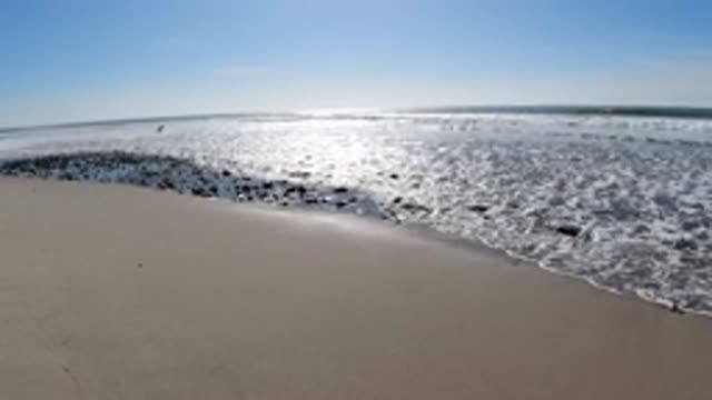 TRESTLES BEACH CALIFORNIA-2019: Lovely Day At The Beach Where The Sand Meets The Waves