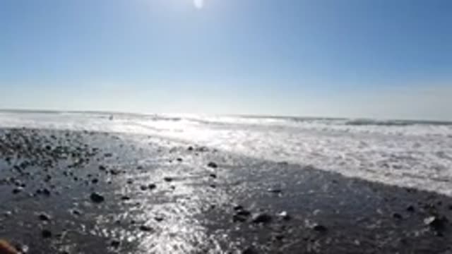 TRESTLES BEACH CALIFORNIA-2019: Waves Roll In On Rock Strewn Shore Birds Fly