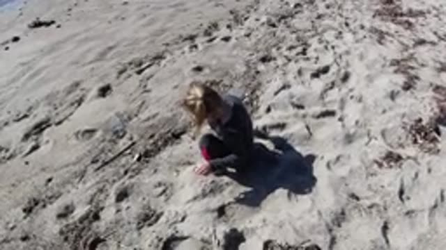TRESTLES BEACH CALIFORNIA-2019: Beautiful Girl Playing With Twig She Found