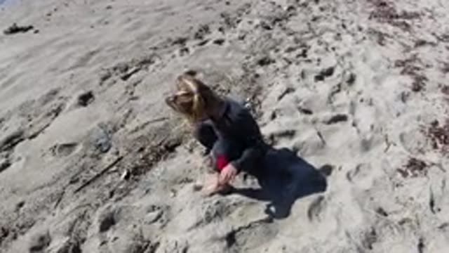 TRESTLES BEACH CALIFORNIA-2019: Cute Child Plays With Object in Thick Sand