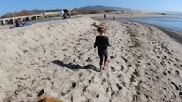 TRESTLES BEACH CALIFORNIA-2019: Woman With A Dog Walking On The Shore Of