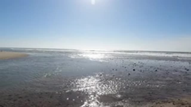 TRESTLES BEACH CALIFORNIA-2019: The Vast And Calm Sea With Blue Water Under The