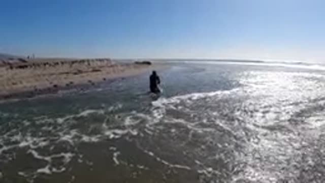 TRESTLES BEACH CALIFORNIA-2019: Surfer In A Wetsuit Getting Out Of The Ocean