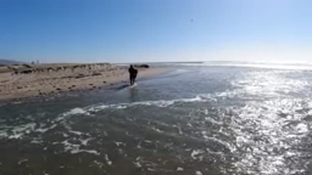 TRESTLES BEACH CALIFORNIA-2019: Man Walking Through And Then Out Of Water Onto A Sandy Shore