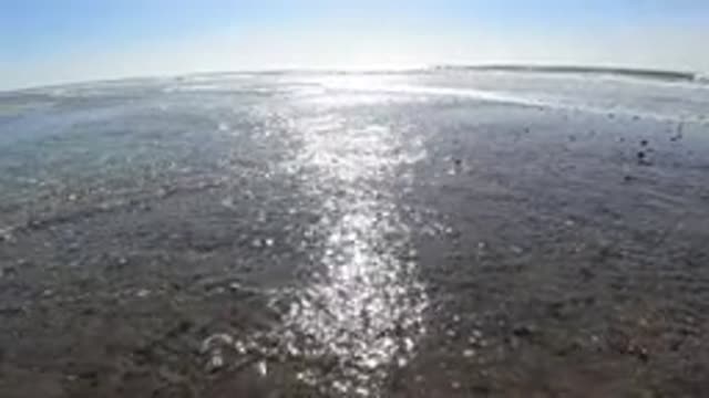 TRESTLES BEACH CALIFORNIA-2019: Sun Reflecting In Ocean Water And Sparkling With