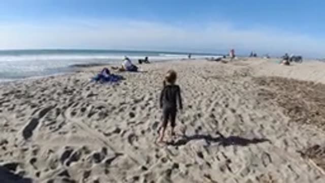 TRESTLES BEACH CALIFORNIA-2019: Little Girl Explores The Sea With Her Dog While