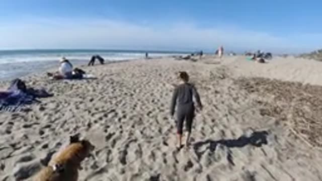 TRESTLES BEACH CALIFORNIA-2019: A Young Blonde Girl Walking On The Beach With A Dog