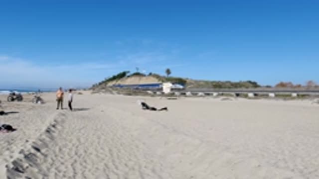 TRESTLES BEACH CALIFORNIA-2019: Train Drives By People Lounging On Beach