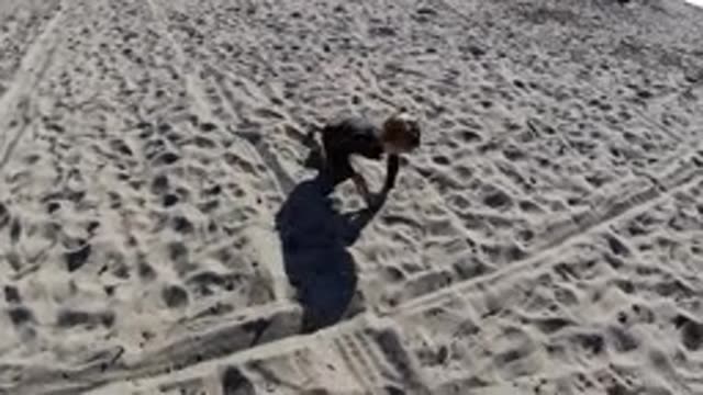 TRESTLES BEACH CALIFORNIA-2019: Girl Playing In The Sand At The Beach In The Day