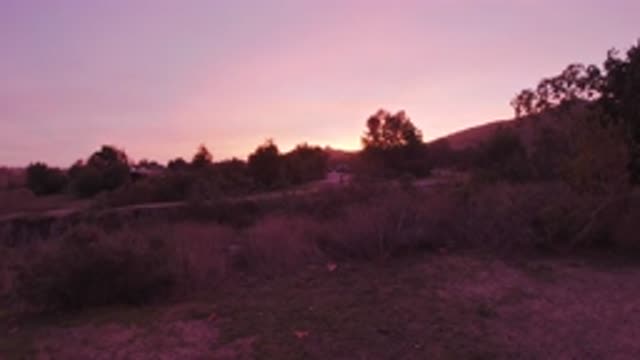 TRESTLES BEACH CALIFORNIA-2019: Watching The Sunset From A Mountain With Lots Of Vegetation