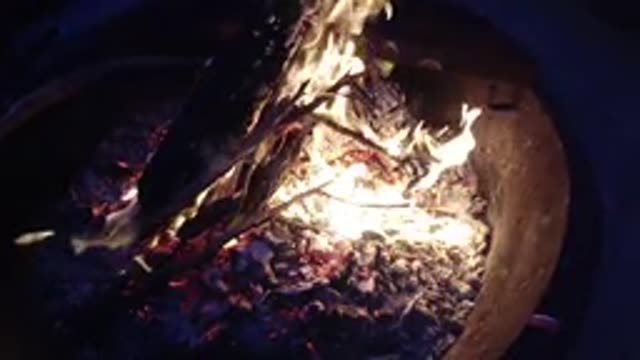 TRESTLES BEACH CALIFORNIA-2019: Wood Burns In Fire With Warm Flames And Embers