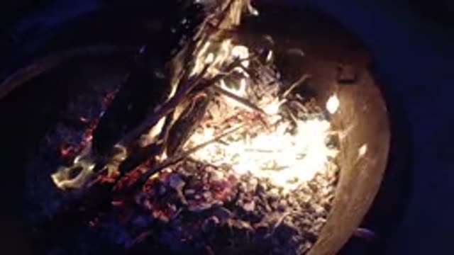 TRESTLES BEACH CALIFORNIA-2019: Fire Burning Strong On A Pit