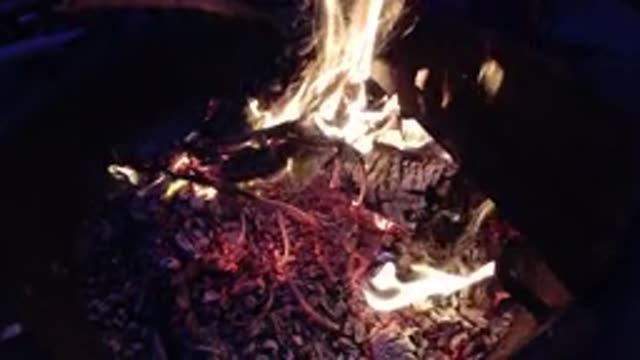 TRESTLES BEACH CALIFORNIA-2019: Wood On A Roaring Fire In The Middle Of The