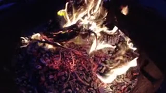 TRESTLES BEACH CALIFORNIA-2019: Pile Of Logs Burning At Night