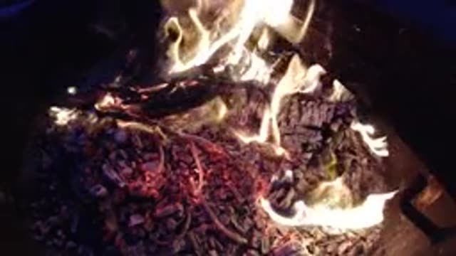 TRESTLES BEACH CALIFORNIA-2019: Orange Flames And Red Embers Of Campfire On A