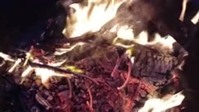 TRESTLES BEACH CALIFORNIA-2019: A Slow Motion Camp Fire Burning Wood