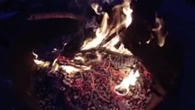 TRESTLES BEACH CALIFORNIA-2019: Fire From A Campfire In A Forest Camp At Night