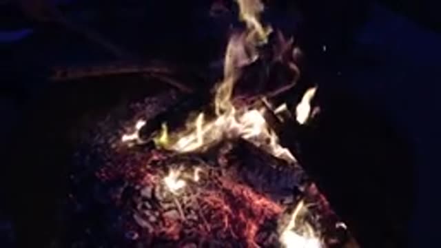 TRESTLES BEACH CALIFORNIA-2019: Flickering Campfire At Night
