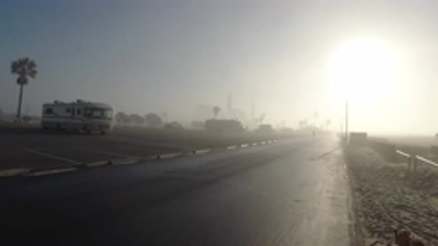 HUNTINGTON BEACH CALIFORNIA-2019: Morning Fog By The Sea With Dog