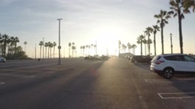 HUNTINGTON BEACH CALIFORNIA-2019: Empty Parking Lot And Palm Trees On A Sunny Day