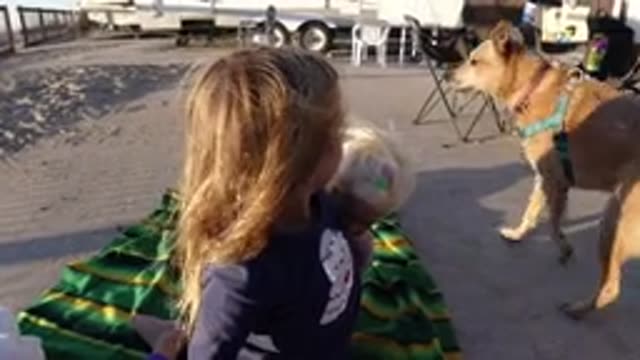 BOLSA CHICA CALIFORNIA-2019: Daughter Sitting Near A Trailer With Her Dog