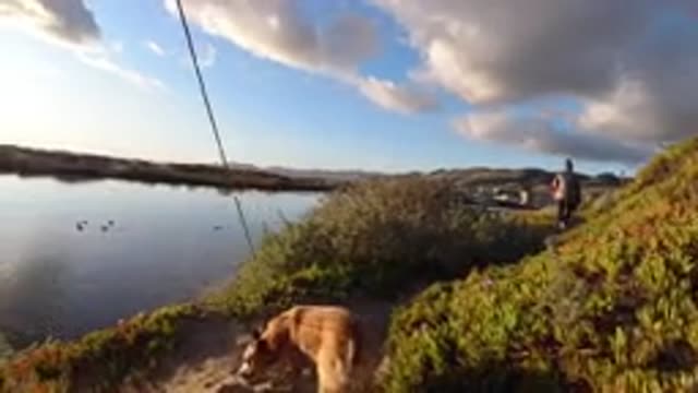 PISMO BEACH CALIFORNIA-2019: Person Walking Dog On Leash Near Body Of Water